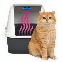 Cat it Magic Blue REPUESTO