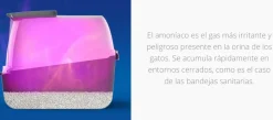 Cat it Magic Blue REPUESTO
