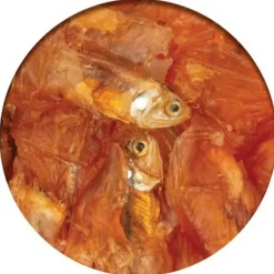 Cat it Nibbly Wraps Pollo y Pescado 30gr