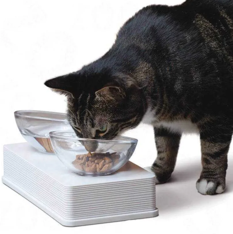 Cat It Plato de vidrio Base Blanca para gatos