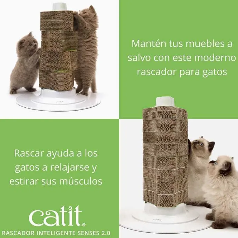 Cat It Rasguñador Renovable