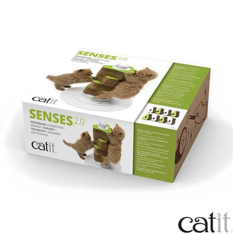 Cat It Rasguñador Renovable