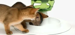 Cat it Senses 2.0 Food Tree