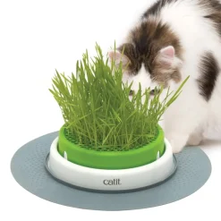 Cat it Senses 2.0 Grass Planter
