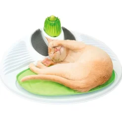 Cat it Senses 2.0 Wellness Center