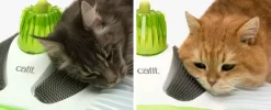 Cat it Senses 2.0 Wellness Center