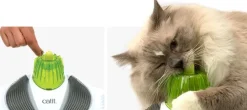 Cat it Senses 2.0 Wellness Center