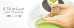 Cat it Senses 2.0 Wellness Center