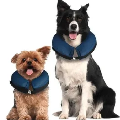 Collar Isabelino Inflable - Selecciona la Talla