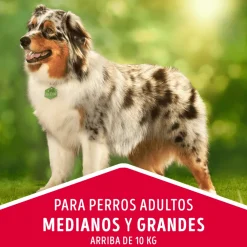 DOG CHOW Perros Adultos Medianos y Grandes Pollo y Pavo 8kg