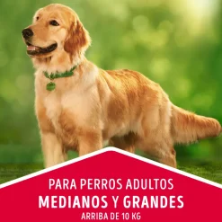 DOG CHOW Perros Adultos Medianos y Grandes Carne y Pollo 8kg