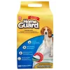 Dog It Carpeta Orientadora Medium 30 Unidades