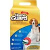 Dog It Carpeta Orientadora Medium 150 Unidades