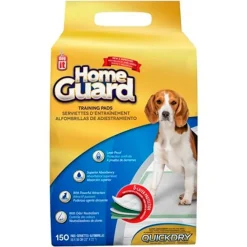 Dog It Carpeta Orientadora Medium 150 Unidades