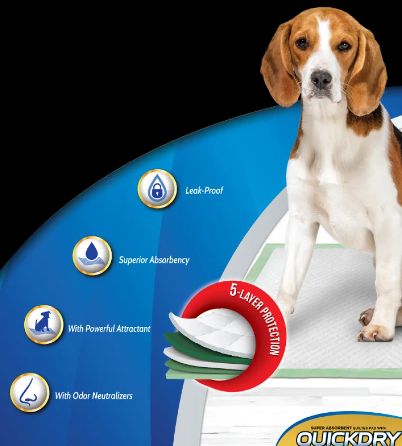 Dog It Carpeta Orientadora Medium 150 Unidades