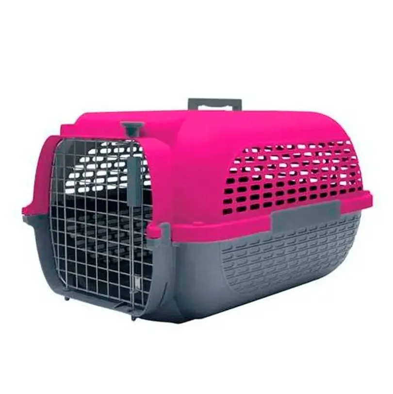 Dog It Voyageur Color Fucsia y Gris Oscuro Medium