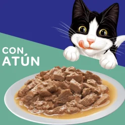 Felix Adultos Atún en Salsa 85gr Pack 15 Unidades