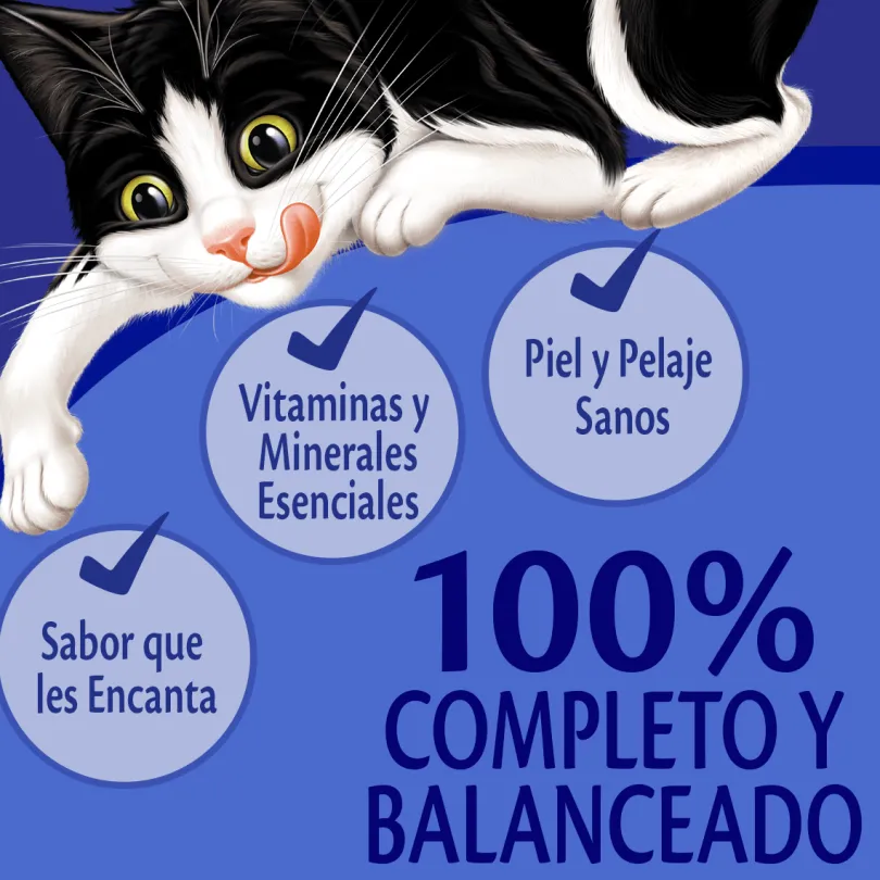 Felix Adultos Atún en Salsa 85gr Pack 15 Unidades