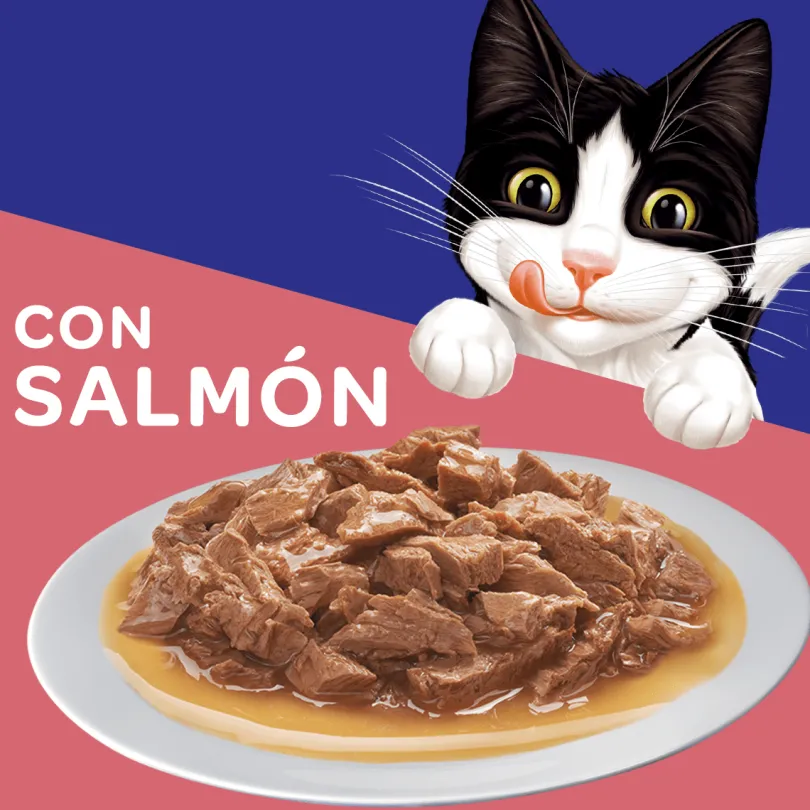 Felix Adultos Salmón en Salsa 85gr Pack 15 Unidades