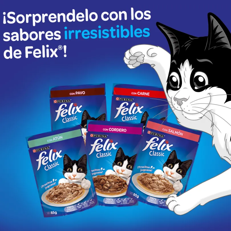 Felix Adultos Salmón en Salsa 85gr Pack 15 Unidades