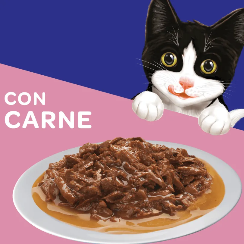 Felix Gatitos Carne en Salsa 85gr