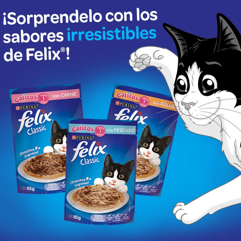 Felix Gatitos Carne en Salsa 85gr Pack 15 Unidades