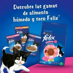 Felix Megamix Gatitos 8 kg