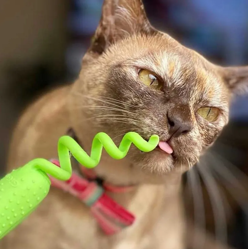 Gigwi Raton con Catnip Para cuidado dental Verde