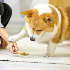 Gigwi Wooden Antler Juguete masticable para perros