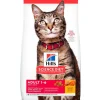 Hills Cat Adult 1-6 7.25kg