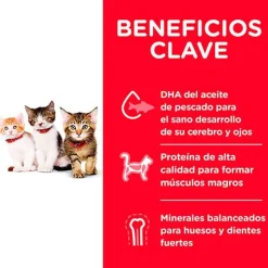 Hills Cat Kitten 3.17kg