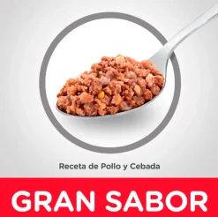 Hills Dog Senior Lata Pollo y Cebada 370gr X 12 Unidades