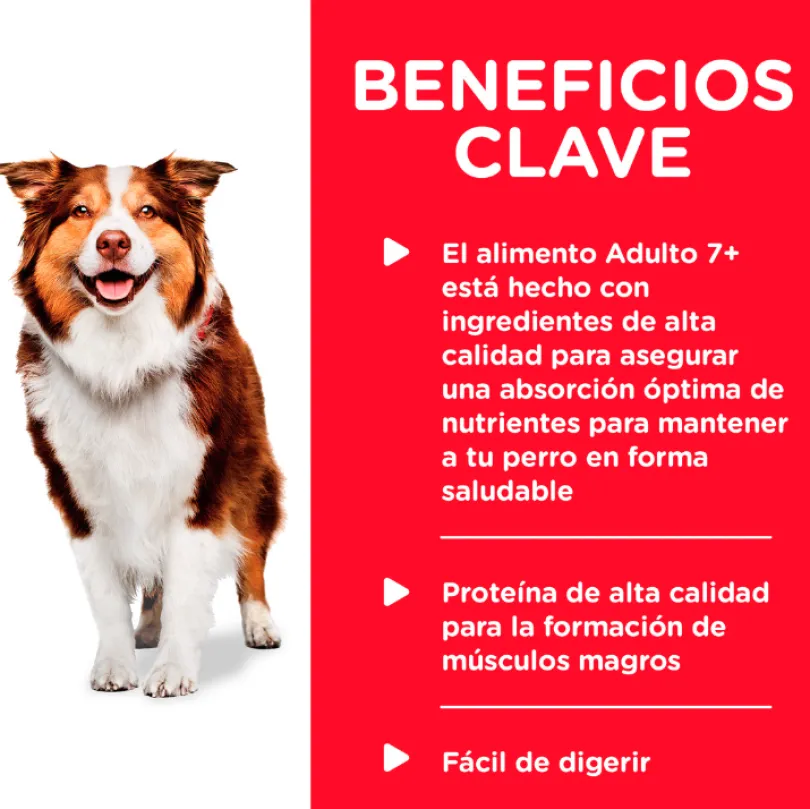 Hills Dog Senior Lata Pollo y Cebada 370gr X 12 Unidades