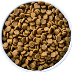 Hills k/d Canino Renal 1.58kg