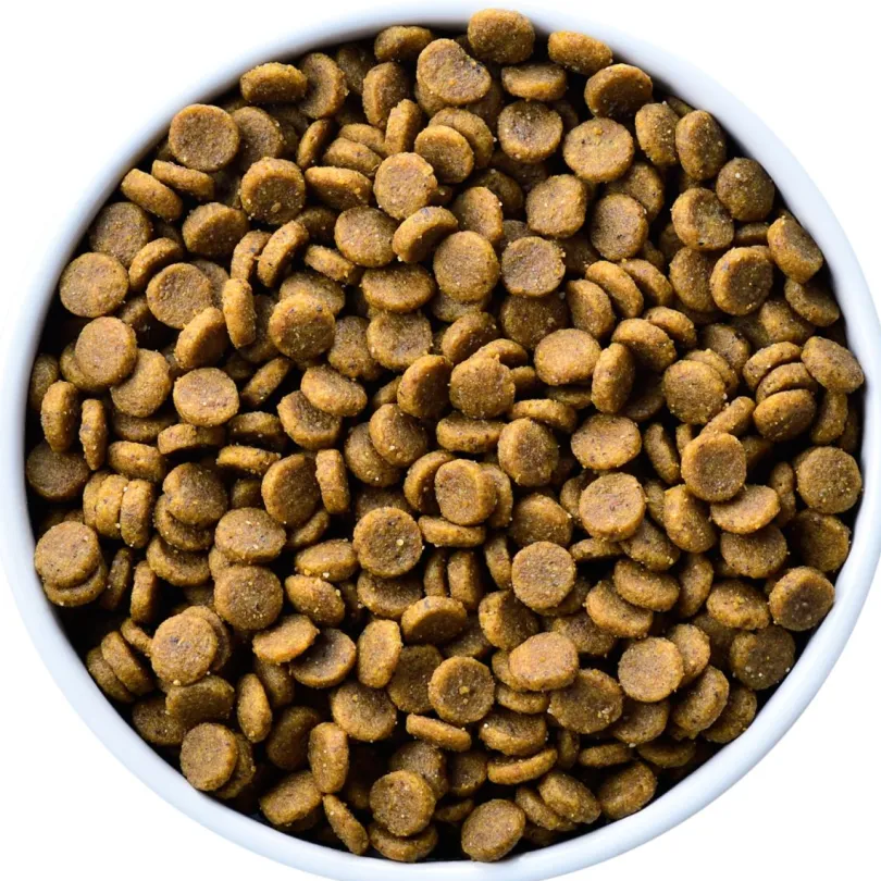 Hills k/d Canino Renal 1.58kg
