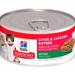 Hills Lata Cat Kitten - Receta de Higado de Pollo 156gr