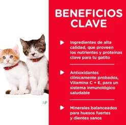 Hills Lata Cat Kitten - Receta de Higado de Pollo 156gr