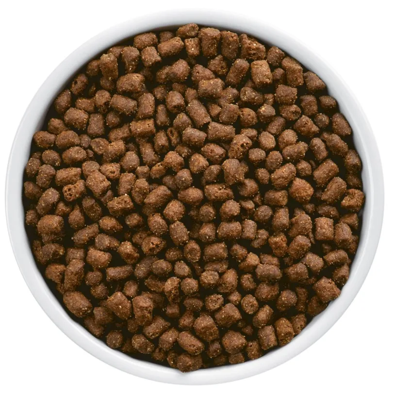 Hills z/d Felino Hipoalergénico 1.8kg