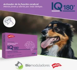 IQ 180 Sistema Nervioso 21 Comprimidos