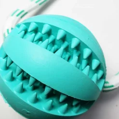 Juguete pelota beisbol dental con ventosa y cuerda