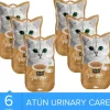 Kit Cat Plus+ Atún & Cramberry Urinary Care 4X15GR x 6 UN