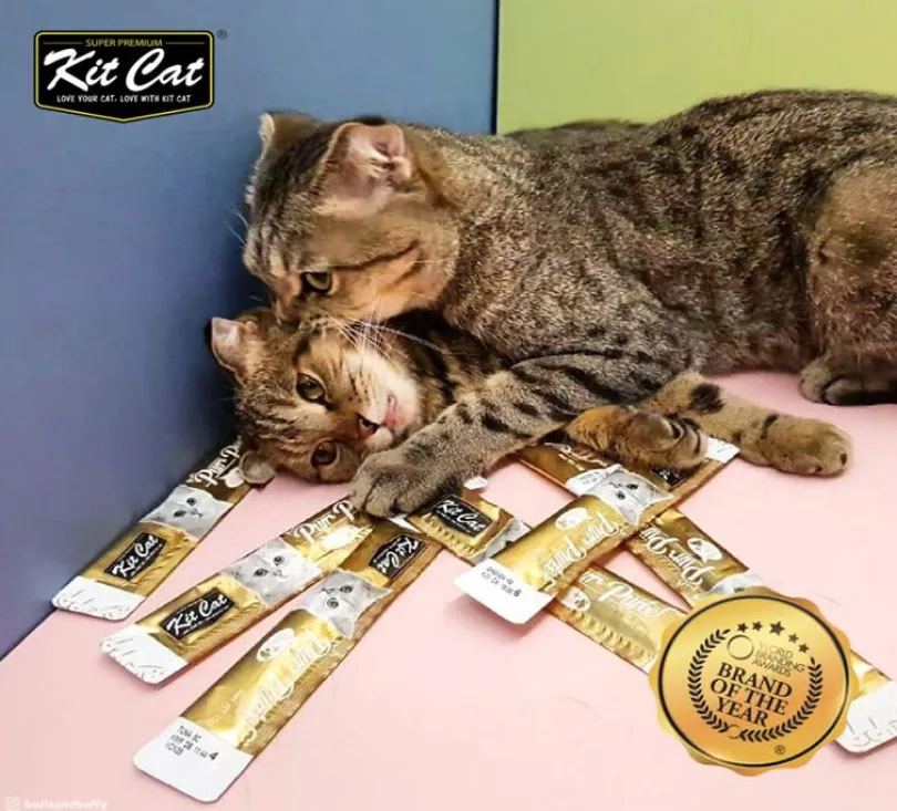Kit Cat Plus+ Tuna & Collagen Care 4 x15gr