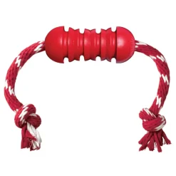 Kong Dental With Rope Medium