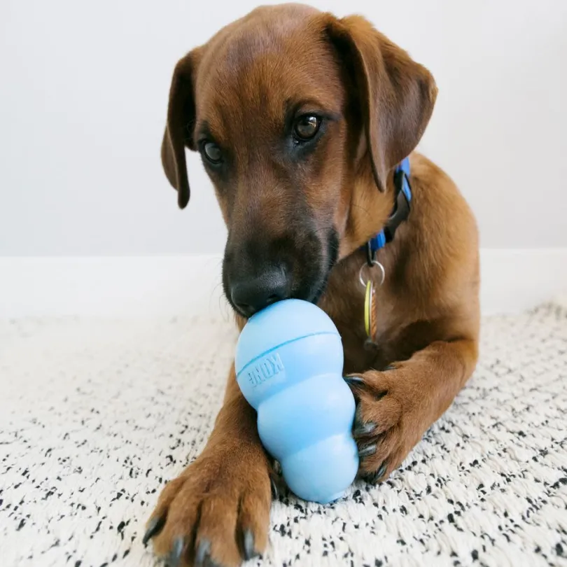 Kong Puppy MEDIUM