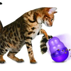 Kong Wobbler Cat