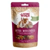 Living World Bites Bouchées Quinoa 60gr