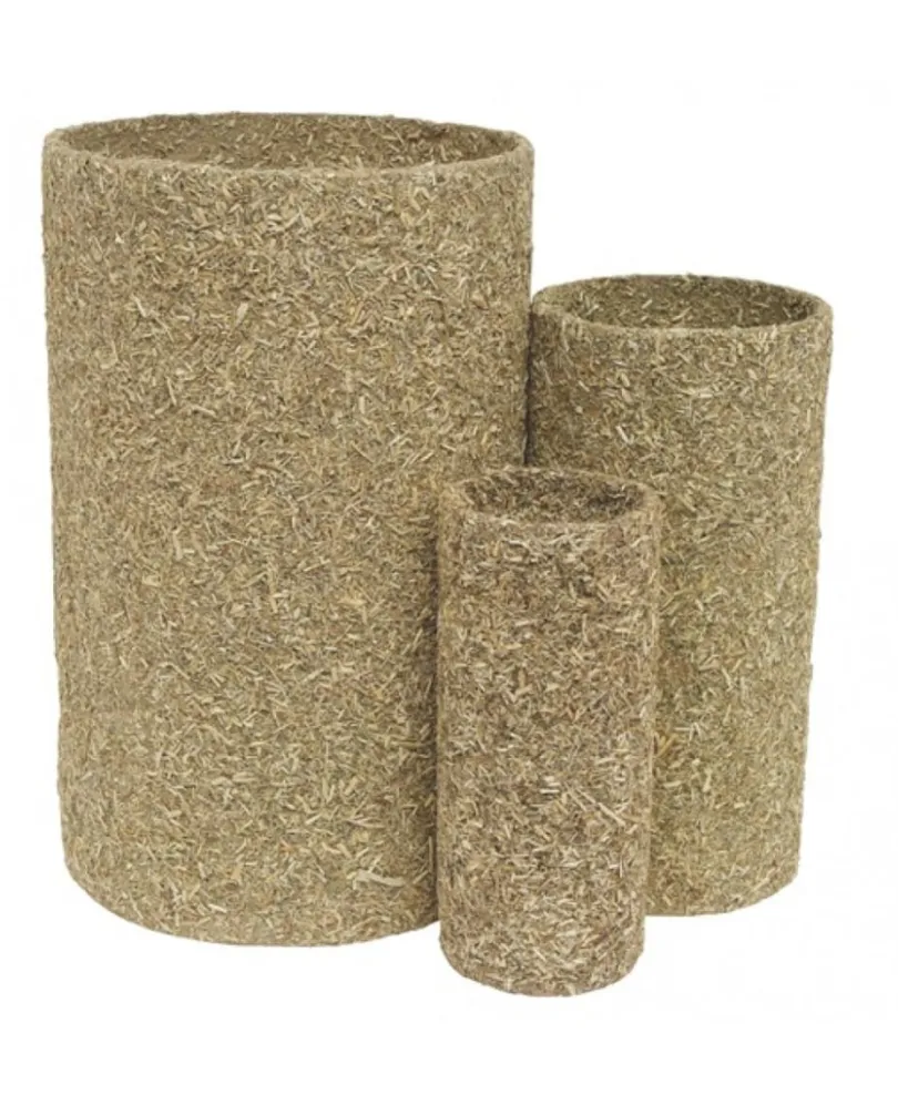 Living World tubo de Alfalfa medida small