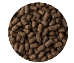 Mazuri Hurón Ferret Diet 4.52kg
