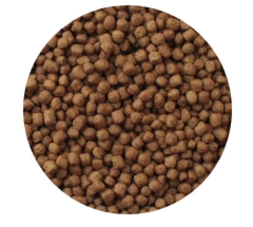 Mazuri Tortuga Acuática Turtle Diet 340gr