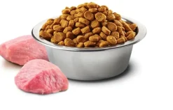 Natural and Delicious Prime Canino Adulto Mini Pollo 2.5kg